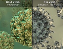 سرماخوردگی و آنفلوانزا شباهت ها و تفاوت ها قسمت اول