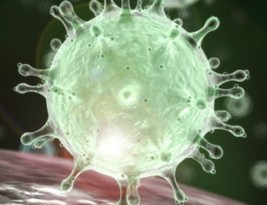 دستورات وزارت بهداشت ایالات متحده آمریکا برای پیشگیری از  ویروس کرونا
